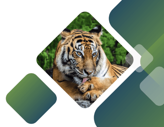 Corbett Release Digital.ai