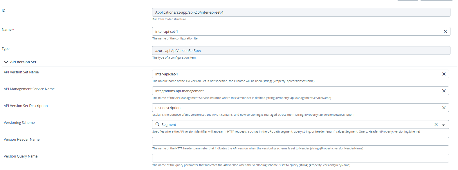 API Version Set
